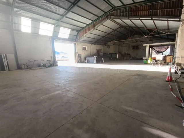 NAVE CON CAMPA EN CALASPARRA - foto 3