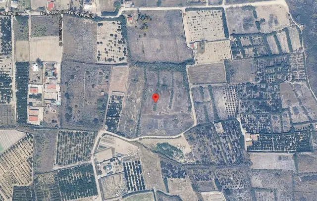 FINCA RUSTICA EN VENTA CON 6 ASSETS (VALENCIA)