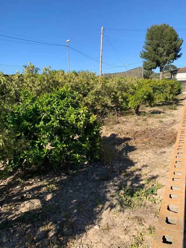PARCELA RUSTICA EN PUENTE TOCINOS — 6