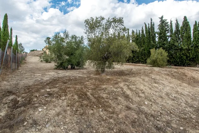 Parcela de casi 1500m2 en el Chorrico — 4