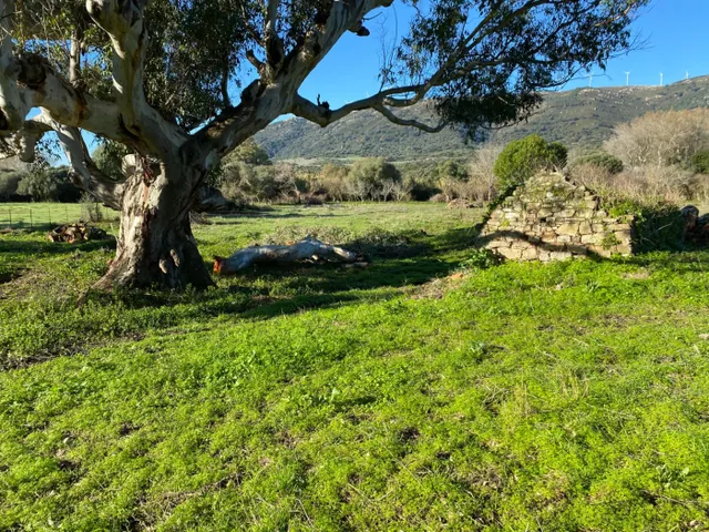 Casa de campo para reformar — 8