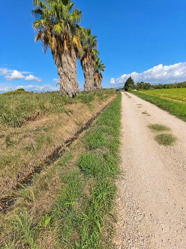 Finca rústica de 6.705 m2 en la zona de els ullals de baltasar, Amposta — 28