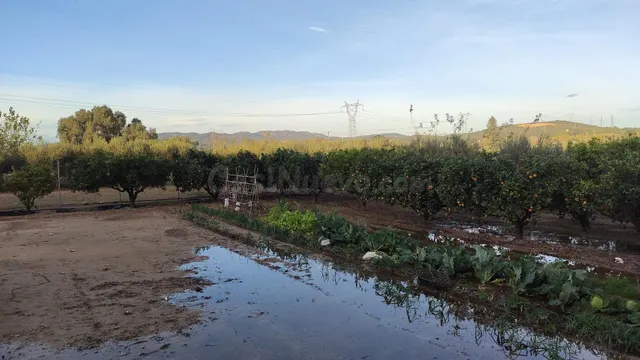 Terreno en venta en Amposta para cultivar tus plantas - foto 3