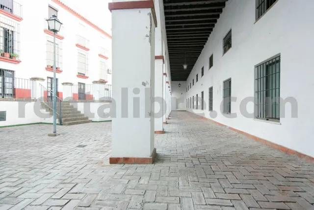 Loft 1 habitación 44m² en alquiler - Centro — 38