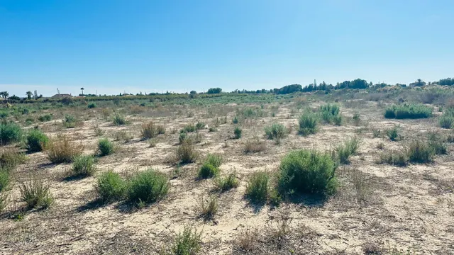 Terreno de 12.000 m2 en Perleta. — 20