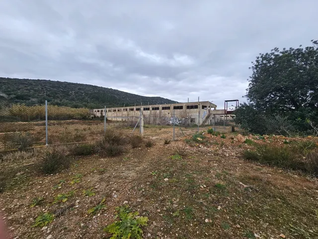 ANTIGUAS NAVES DE CERDOS EN VENTA
