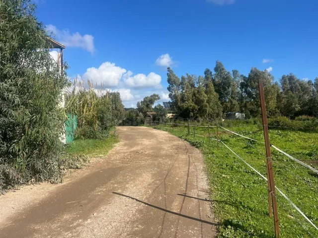 ¡Oportunidad Única: Parcela en Los Barrios! - foto 2