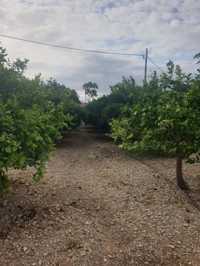 Terreno con 2 casas en Vinaros — 15
