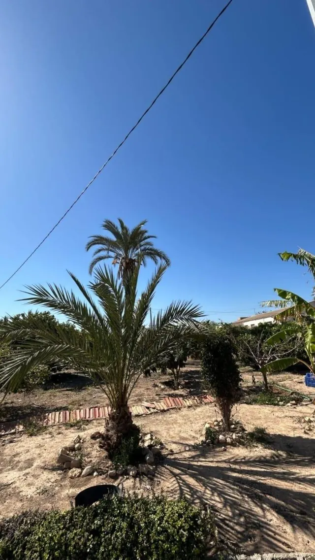 Casa en la galia a 3 minutos de Elche — 12