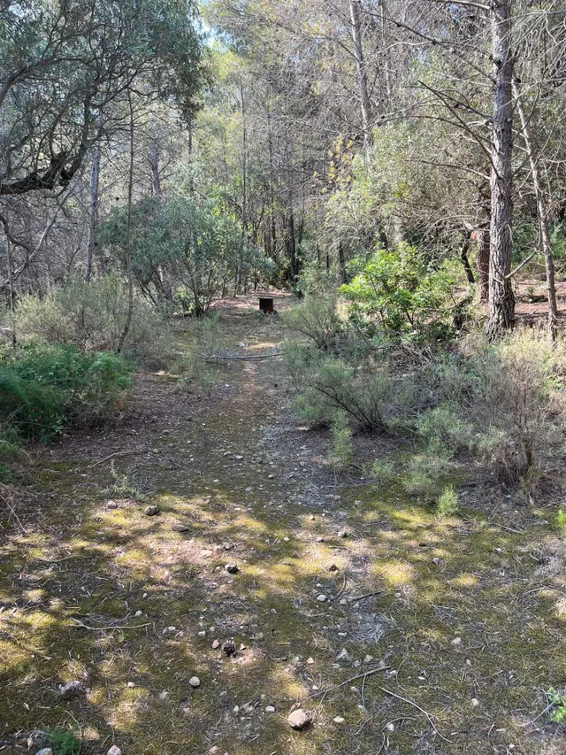 Terreno agrario en Mont-roig del camp, con barraca y pozo — 8