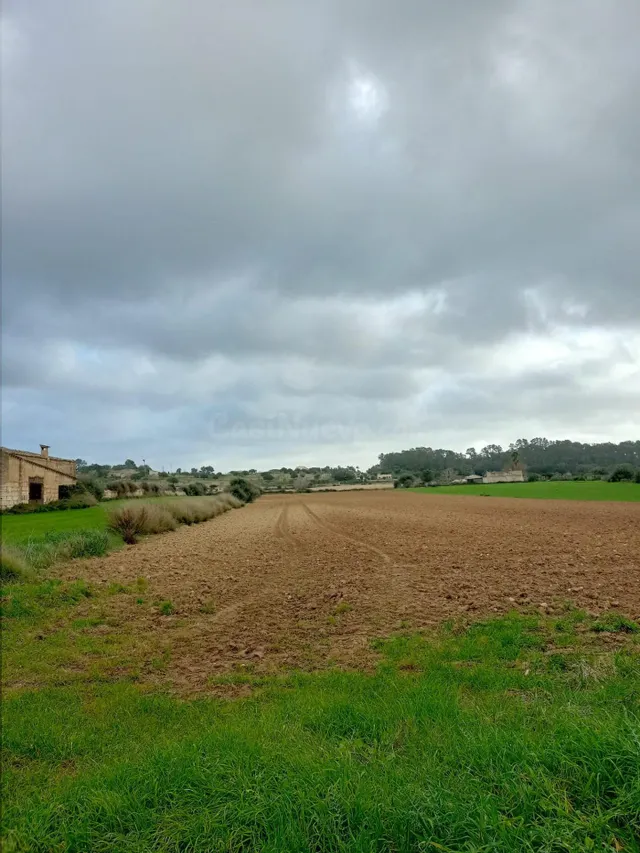 TERRENO URBANIZABLE EN SINEU. MALLORCA - foto 4