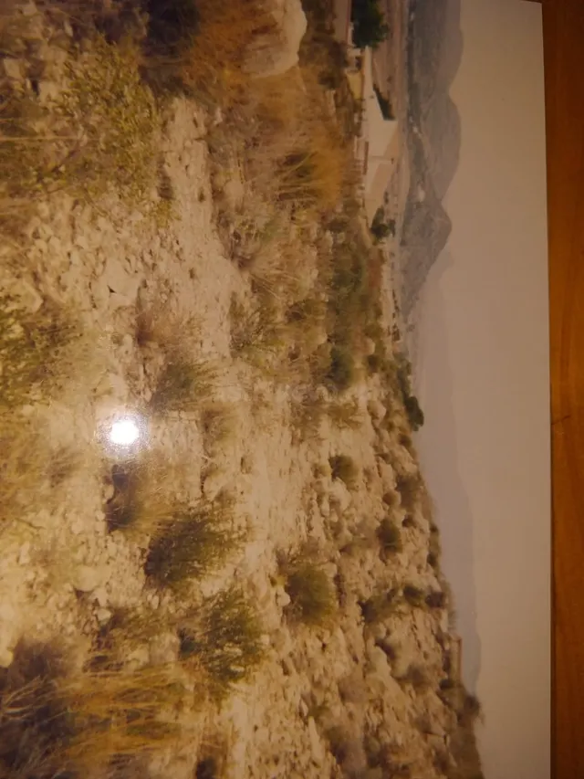 SE VENDE TERRENO RUSTICO , 2600 METROS - foto 4