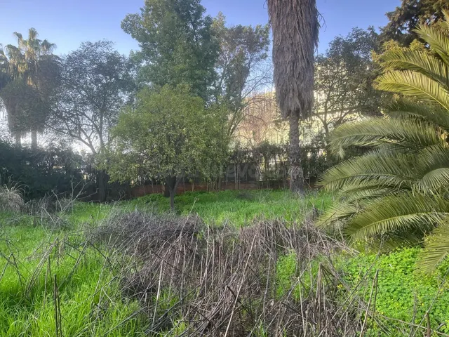 Exclusiva propiedad de 2.012 m2 en santa clara | tres fincas registrales en una de las mejores zonas de Sevilla — 2