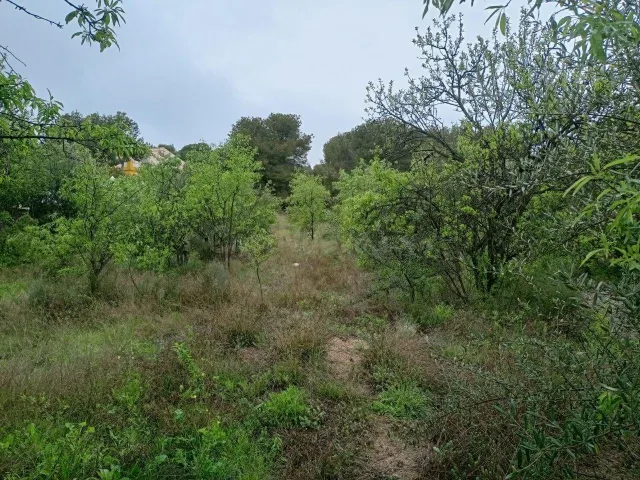 Terreno urbano 255m² en venta - Urbanizacion el pinar 4