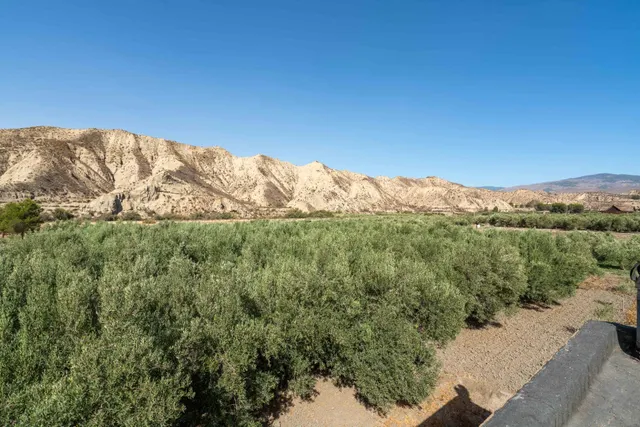Terreno con Cortijo en Alsodux — 16
