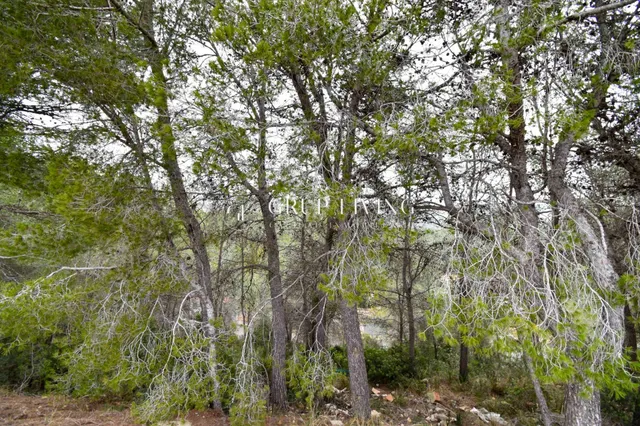 TERRENO EN CAN PERE LA PLANA — 5
