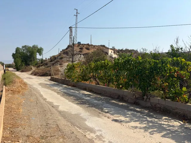 SANTA FE DE MONDÚJAR (ALMERÍA) Finca de regadío en producció - foto 4