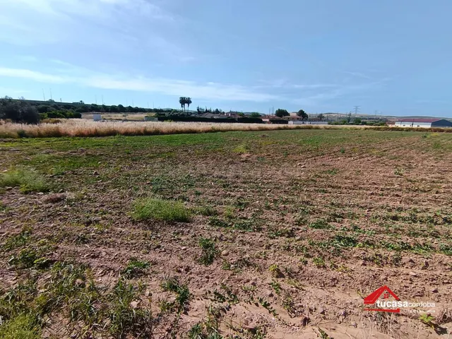 Terreno rural en Casillas (Carretera del Aeropuerto) con múl