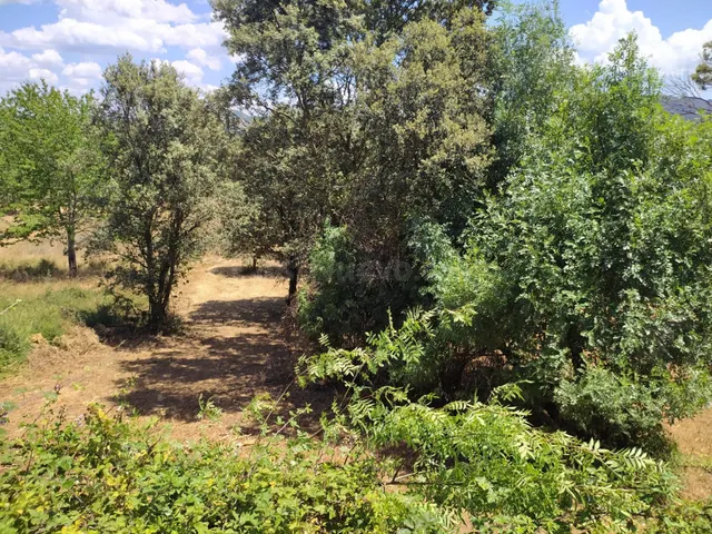 VENTA DE FINCA URBANA EN CUBILLOS DEL SIL — 3