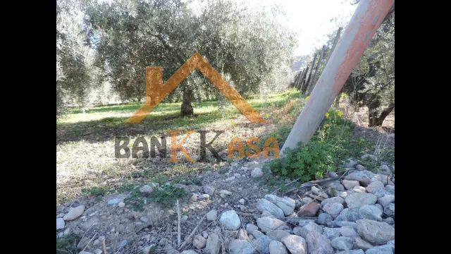 SE VENDE TERRERENO RURAL EN BERJA CON CORTIJO — 22