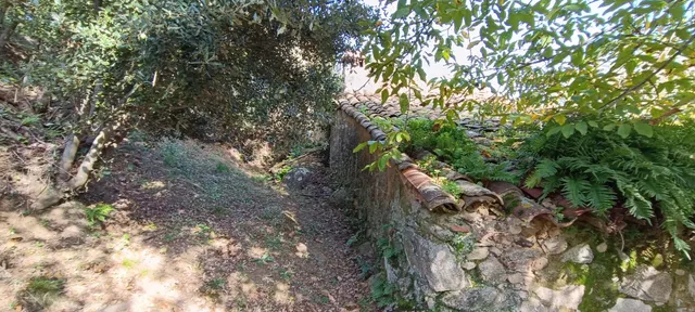 Parque natural del montseny (afueras riells): masía típica catalana catalogada a reformar — 32
