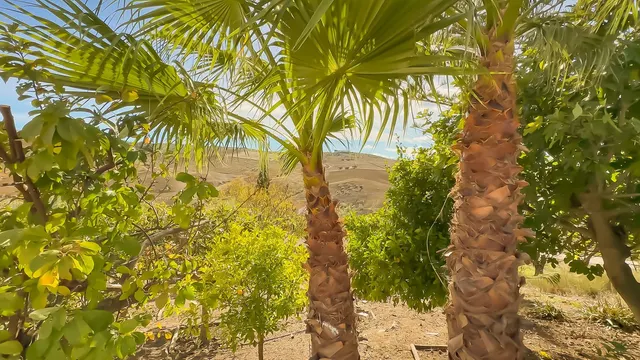Finca rústica 2 habitaciones 140m² en venta - Polígono - Alrededores - Pedanías — 36