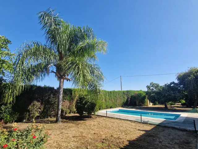 Finca rústica con dos viviendas, piscina y 56.000 m2 de tierras de regadío a 10 minutos de Jerez — 22