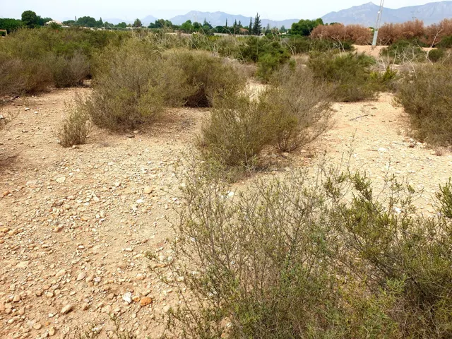 Terreno rural en venta - Partida amoros - foto 3