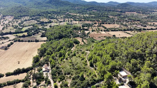 Terreno rústico de 10.000m2 en son quetlles, Felanitx — 13