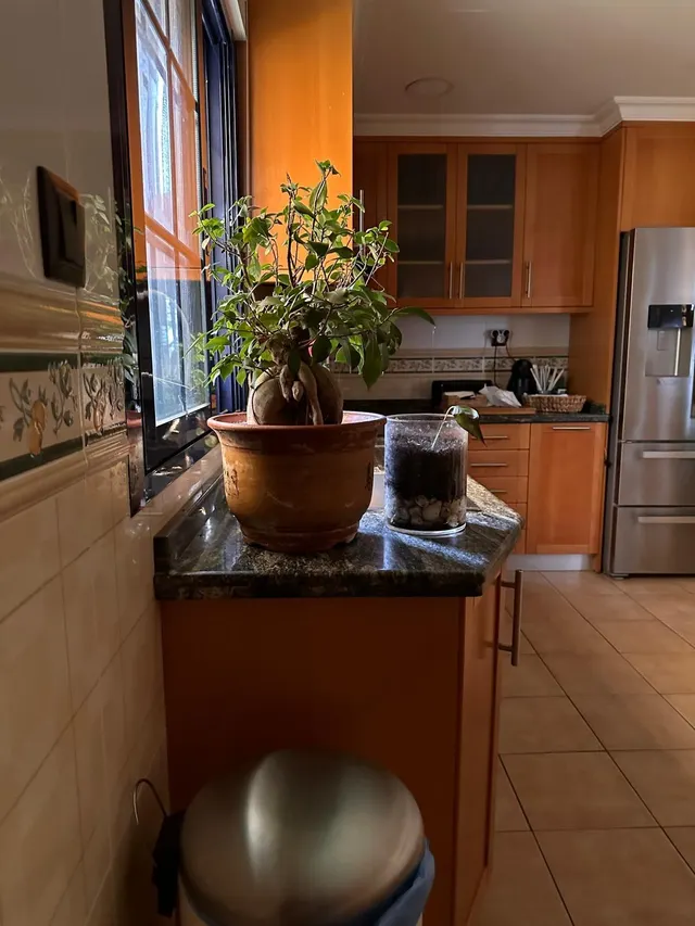 Exclusivo Chalet en Primera Línea de Mar en Santa Pola — 22