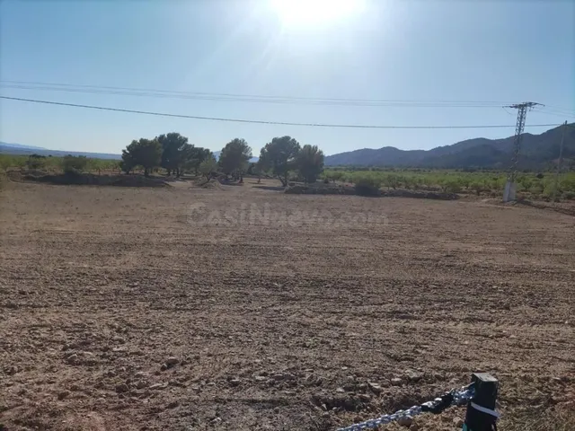 Terreno edificable en Pinoso (Alicante) para proyecto rural - foto 3