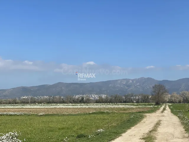 Castelló d'Empúries | Finca rústica no edificable en un ento - foto 4