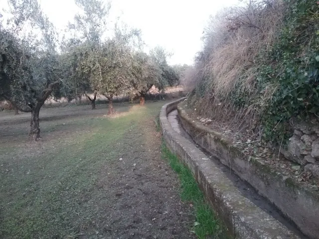 OLIVAR EN LA ZUBIA DE 3.597 M2 — 15