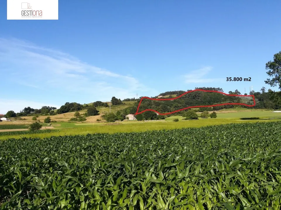 TERRENO RURAL DE 35.800M2