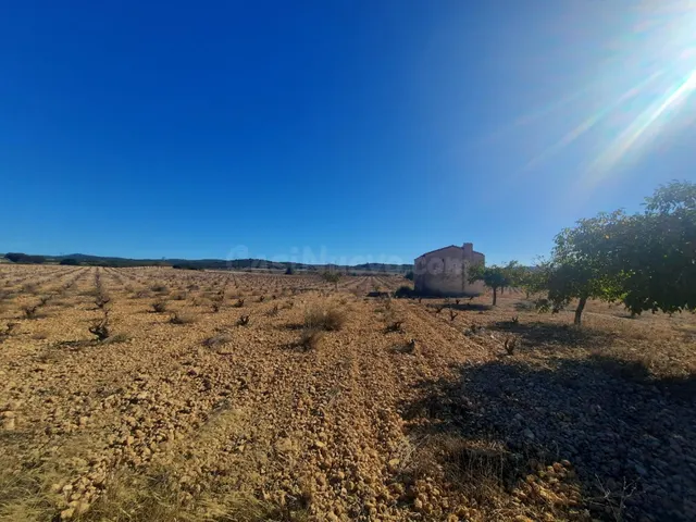 FINCA RÚSTICA EN ALMANSA — 2