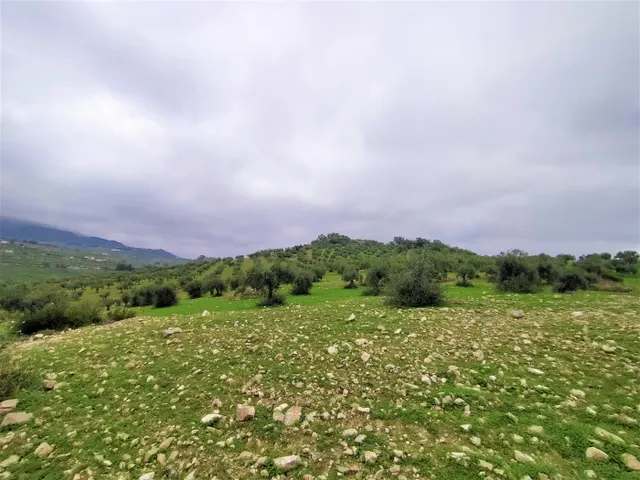 Espectacular finca en la localidad de Alozaina — 13
