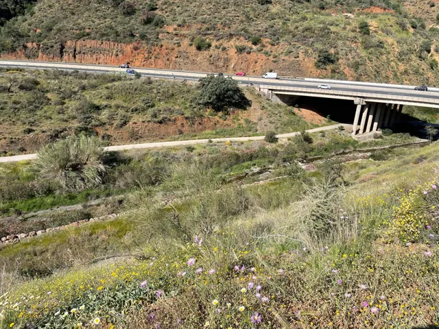 Se vende parcela rústica en los Montes de Málaga, junto a la
