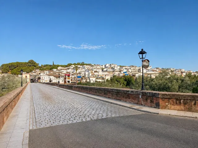 ¡¡ casa con gran terraza en Montoro, cordoba !! — 50