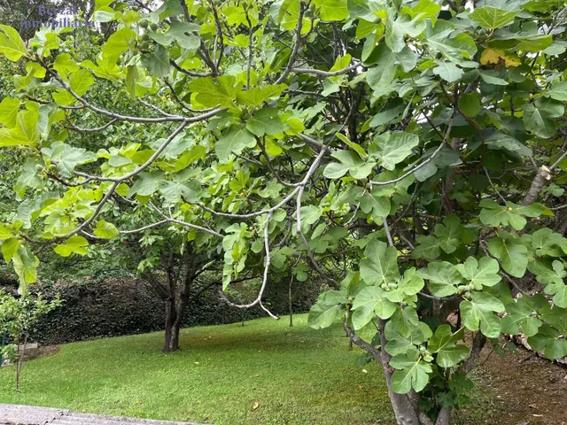 Casa en parcela de casi cuatro mil metros, con piscina, jardin, maravillosas vistas. — 19