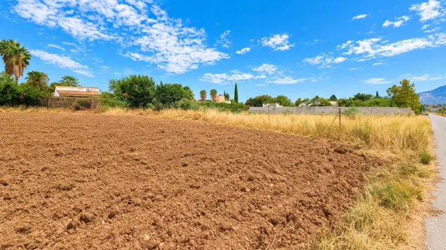 Parcela rústica de 4.824 m2 en Llanos de Moraleda, Moraleda de Zafayona — 9