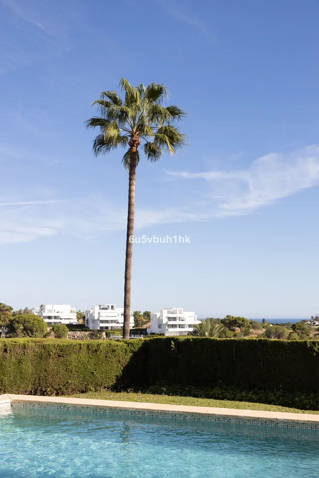 Chalet 3 habitaciones 313m² en venta - Centro — 26