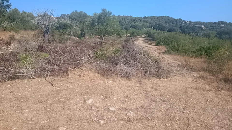 Terreno rústico en Pòrtol, Marratxí, a pocos metros del casco urbano