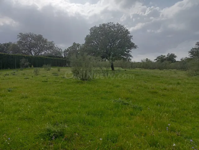 ¡Magnífica parcela urbana en la Urb. Sierra Norte – Castilbl - foto 2