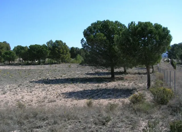 TERRENO CON CASA EN CASTALLA — 12