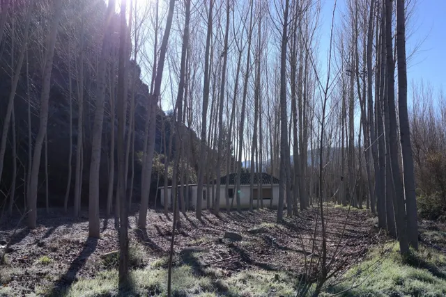 Los Tajos, monumento natural con casa y chiringuito. Finca en Alhama de Granada. — 5