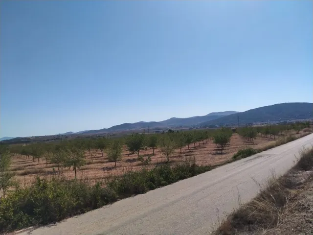 Villa de Obra Nueva Llave en Mano en Pinoso – Exclusividad, Espacio y Confort en Plena Naturaleza — 32