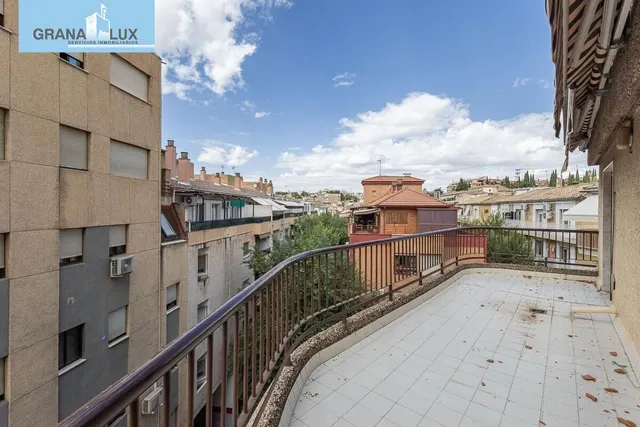 Pisazo en paseo del salón - Granada — 34