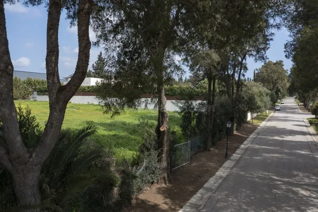 Parcela en venta - Sotogrande - Alto - foto 3