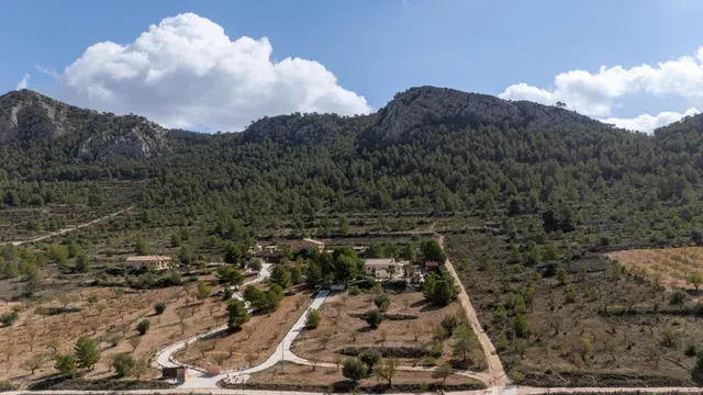 Piso 4 habitaciones 134m² en venta - Jumilla — 39
