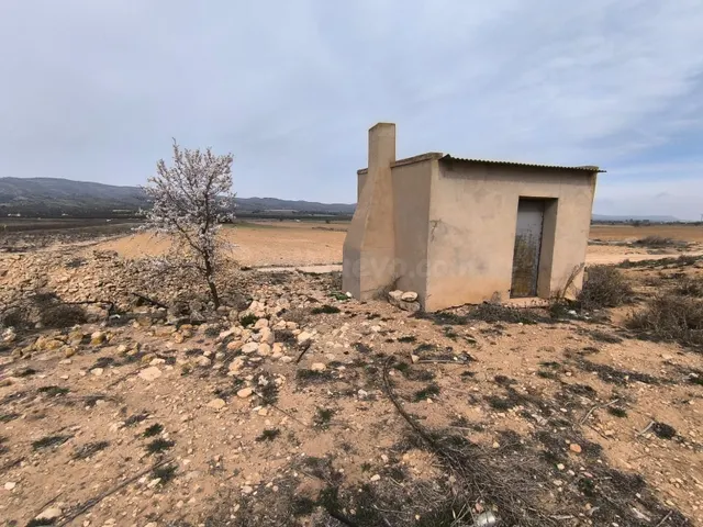 Parcela de inversión en tierra fértil, olivar y agua cerca d - foto 3